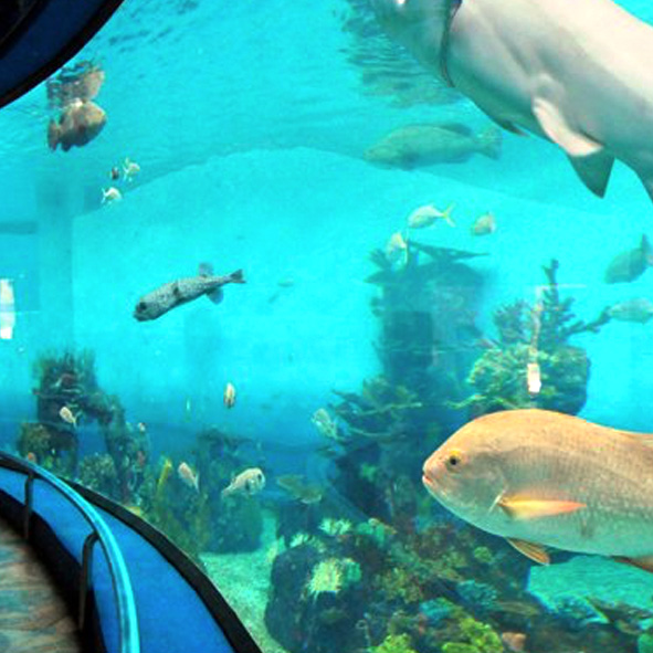 Acuario de Mazatlán